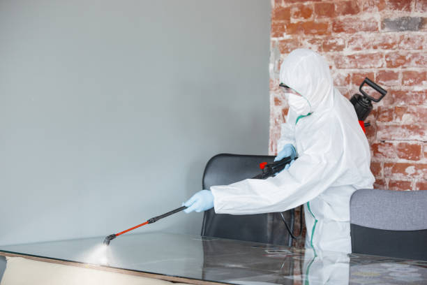 Mold Removal for HVAC Installations